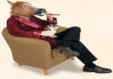 Horse Head Mask