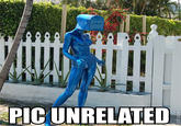 Picture Unrelated