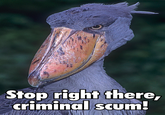 Stop Right There, Criminal Scum