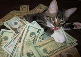 Eating Money