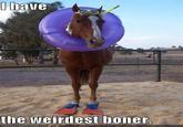 I Have The Weirdest Boner