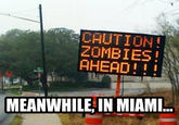 Miami Zombie