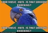 Paranoid Parrot
