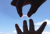 Perfectly Timed Photos