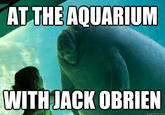 Overlord Manatee