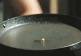 Slow Motion