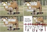 Rage Comics