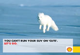 "Let's Go! Arctic" Hoax Campaign