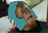 Dying Orangutan