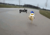 Dolan
