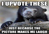 Confession Bear