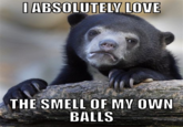 Confession Bear