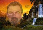 Selleck Waterfall Sandwich