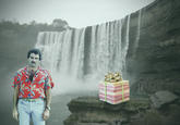 Selleck Waterfall Sandwich