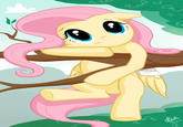 My Little Pony: Friendship is Magic