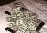 CashCats