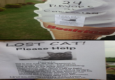 IRL Troll Posters