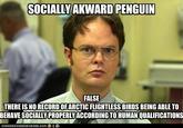 Schrute Facts