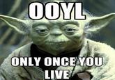 YOLO