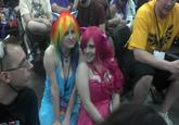 Bronies