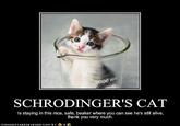 Schrodinger's Cat