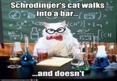 Schrodinger's Cat