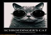 Schrodinger's Cat