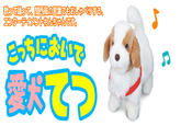 Tetsu the Robot Pet Dog