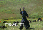 Ninjas