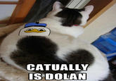 Dolan