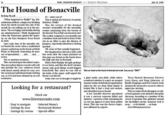 Montauk Monster