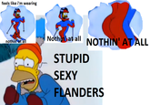 Stupid Sexy Flanders