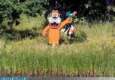 Duck Hunt