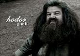 Troll Quotes