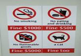 A cat is fine too....