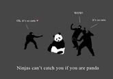 Ninjas Can't Catch You If...