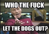 Annoyed Picard