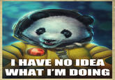 I Have No Idea What I'm Doing