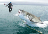 Dangling Boris