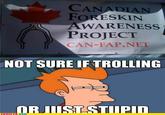 Futurama Fry / Not Sure If X