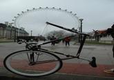Forced Perspective