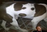 Xzibit Yo Dawg