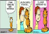 Garfield Parodies