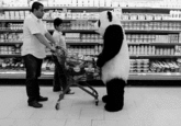 Never Say No to Panda