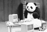 Never Say No to Panda