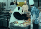 Never Say No to Panda