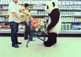 Never Say No to Panda