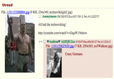 Technoviking