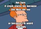 Futurama Fry / Not Sure If X