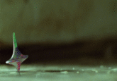 Nebula GIFs